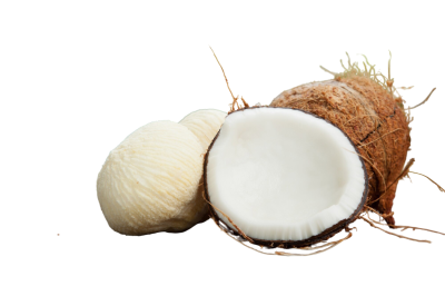 Frozen Coconut Embryo