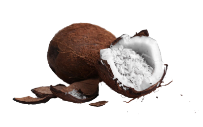 Frozen Grated Coconut
