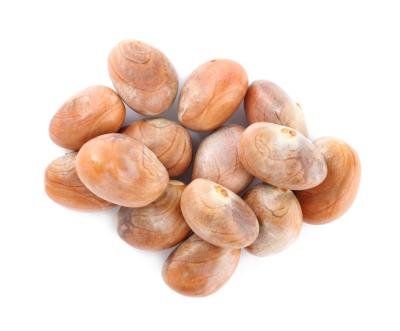 Frozen Jackfruit Seed