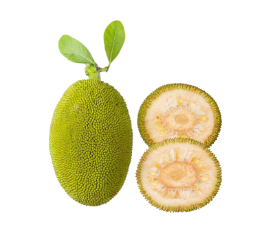 Frozen Raw Jackfruit