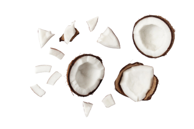 Frozen Sliced Coconut